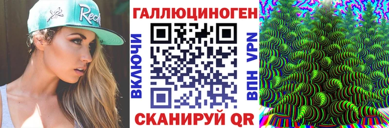 где купить   Советская Гавань  Псилоцибиновые грибы GOLDEN TEACHER 