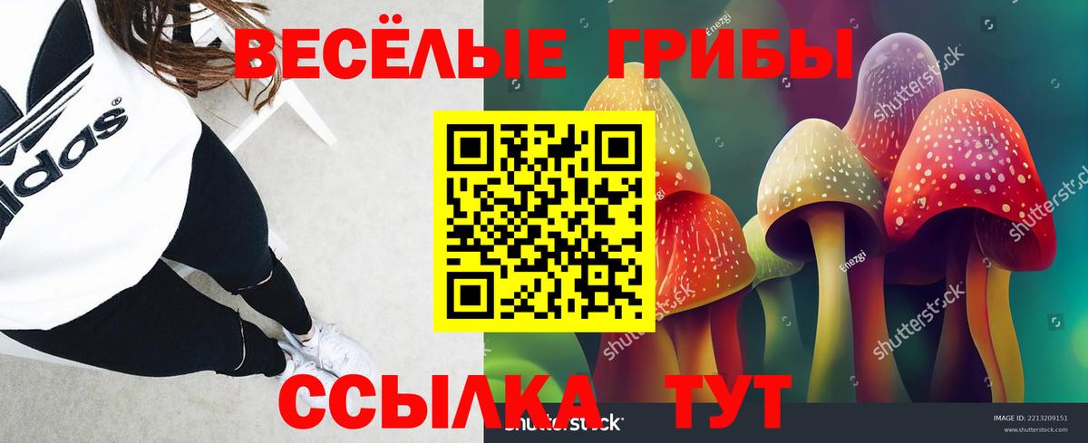 Галлюциногенные грибы мухоморы Советская Гавань